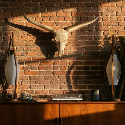 Decorative Steer Horns and Skull