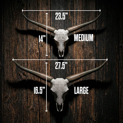 Decorative Steer Horns and Skull